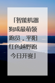 智能机器狗成最萌领跑员，平阳红色越野跑今日开赛