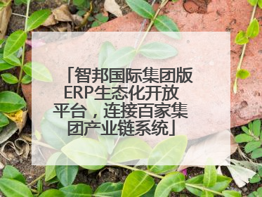 智邦国际集团版ERP生态化开放平台，连接百家集团产业链系统
