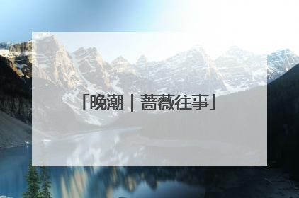 晚潮｜蔷薇往事