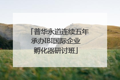 普华永道连续五年承办IBI国际企业孵化器研讨班