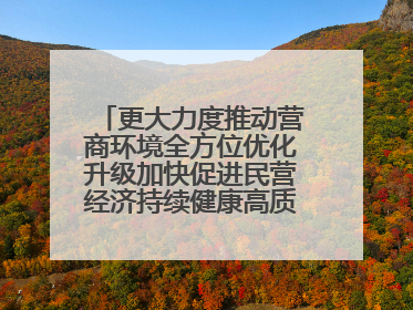 更大力度推动营商环境全方位优化升级加快促进民营经济持续健康高质量发展