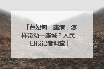 曹妃甸一座港，怎样带动一座城？人民日报记者调查
