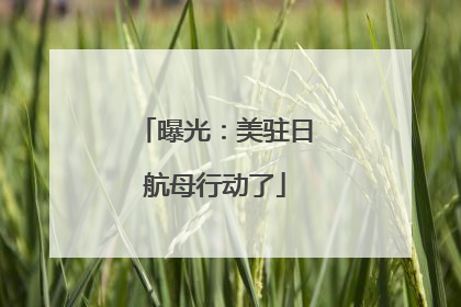 曝光：美驻日航母行动了