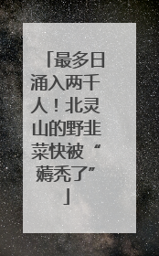 最多日涌入两千人！北灵山的野韭菜快被“薅秃了”