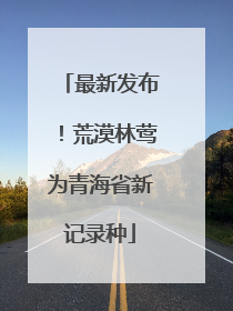 最新发布！荒漠林莺为青海省新记录种