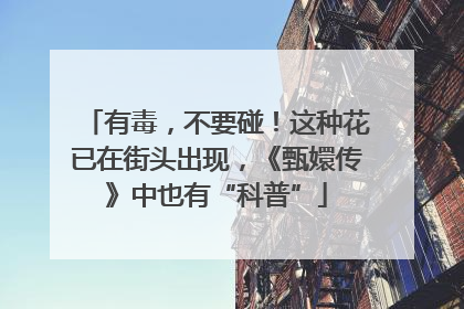 有毒，不要碰！这种花已在街头出现，《甄嬛传》中也有“科普”
