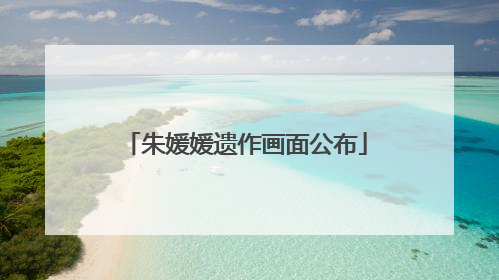 朱媛媛遗作画面公布