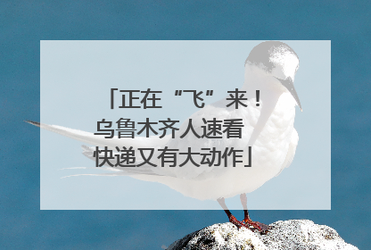正在“飞”来！乌鲁木齐人速看 快递又有大动作