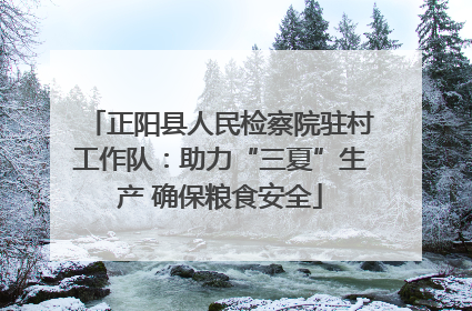 正阳县人民检察院驻村工作队：助力“三夏”生产 确保粮食安全