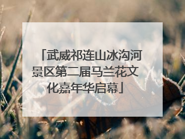 武威祁连山冰沟河景区第二届马兰花文化嘉年华启幕