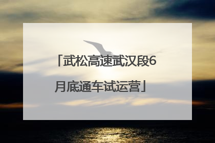 武松高速武汉段6月底通车试运营