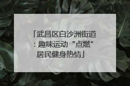 武昌区白沙洲街道：趣味运动“点燃”居民健身热情