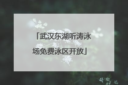 武汉东湖听涛泳场免费泳区开放