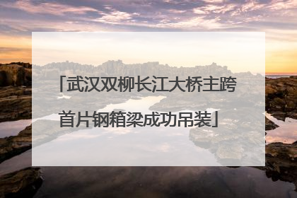 武汉双柳长江大桥主跨首片钢箱梁成功吊装