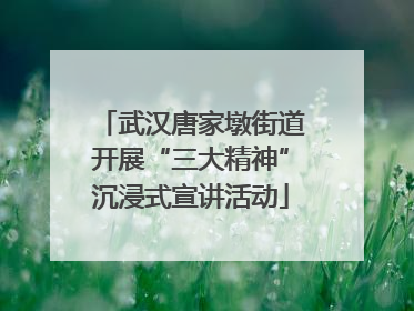 武汉唐家墩街道开展“三大精神”沉浸式宣讲活动