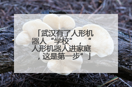 武汉有了人形机器人“学校”，“人形机器人进家庭，这是第一步”