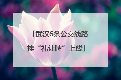武汉6条公交线路挂“礼让牌”上线