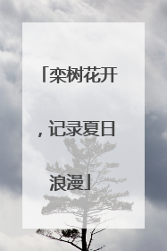 栾树花开，记录夏日浪漫