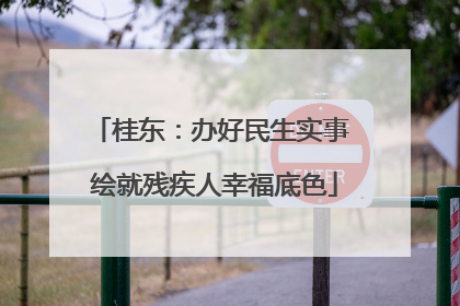 桂东：办好民生实事 绘就残疾人幸福底色