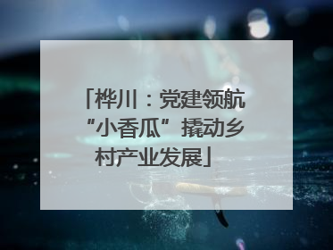 桦川：党建领航“小香瓜”撬动乡村产业发展