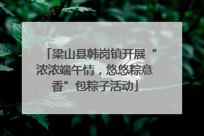 梁山县韩岗镇开展“浓浓端午情，悠悠粽意香”包粽子活动