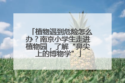 植物遇到危险怎么办？南京小学生走进植物园，了解“鼻尖上的博物学”