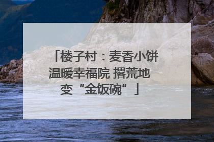 楼子村：麦香小饼温暖幸福院 撂荒地变“金饭碗”