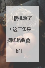 樱桃熟了！这三条采摘线路收藏好