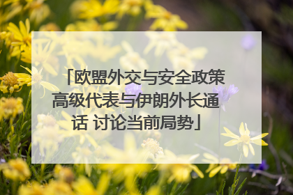 欧盟外交与安全政策高级代表与伊朗外长通话 讨论当前局势