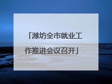潍坊全市就业工作推进会议召开