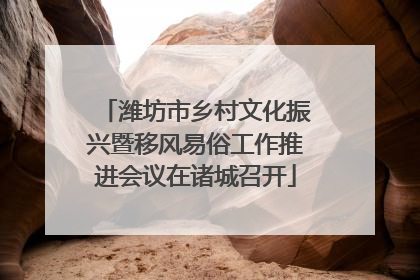 潍坊市乡村文化振兴暨移风易俗工作推进会议在诸城召开