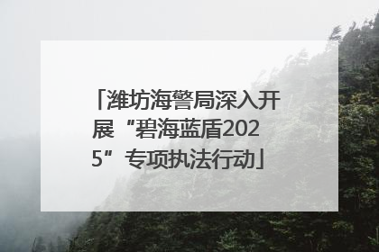 潍坊海警局深入开展“碧海蓝盾2025”专项执法行动