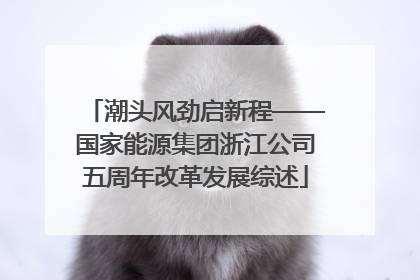 潮头风劲启新程——国家能源集团浙江公司五周年改革发展综述