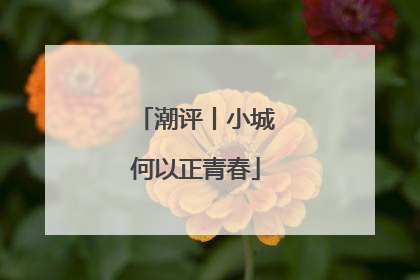 潮评丨小城何以正青春