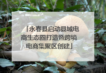 永春县启动县域电商生态圈打造暨跨境电商集聚区创建