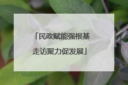 民政赋能强根基 走访聚力促发展