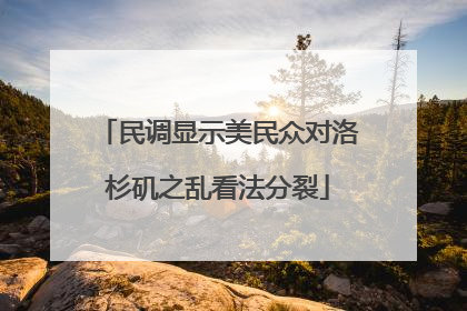 民调显示美民众对洛杉矶之乱看法分裂