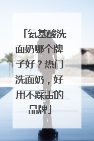 氨基酸洗面奶哪个牌子好？热门洗面奶，好用不踩雷的品牌