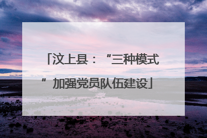 汶上县：“三种模式”加强党员队伍建设