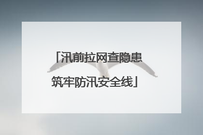 汛前拉网查隐患 筑牢防汛安全线