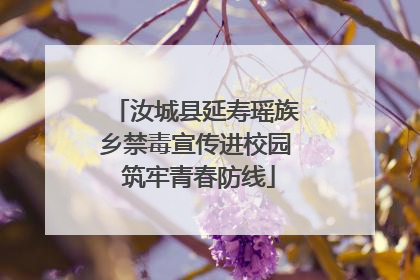 汝城县延寿瑶族乡禁毒宣传进校园 筑牢青春防线