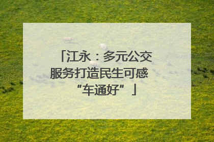 江永：多元公交服务打造民生可感“车通好”