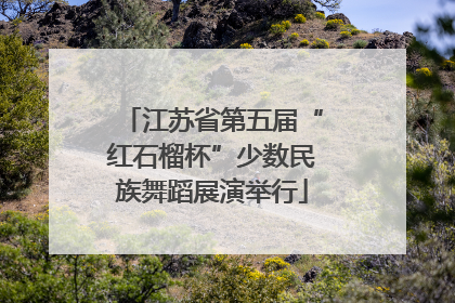 江苏省第五届“红石榴杯”少数民族舞蹈展演举行