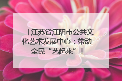 江苏省江阴市公共文化艺术发展中心：带动全民“艺起来”