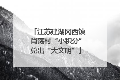 江苏建湖冈西镇肖荡村“小积分”兑出“大文明”