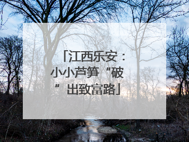 江西乐安：小小芦笋“破”出致富路