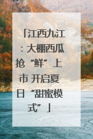 江西九江：大棚西瓜抢“鲜”上市 开启夏日“甜蜜模式”