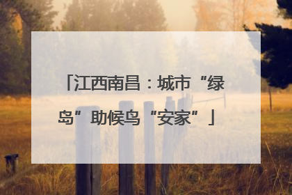 江西南昌：城市“绿岛”助候鸟“安家”