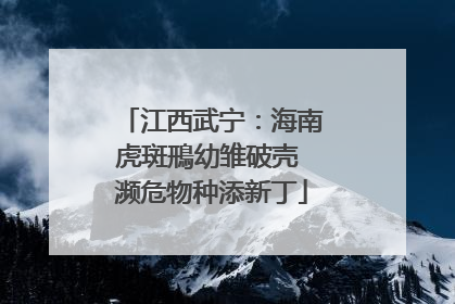 江西武宁：海南虎斑鳽幼雏破壳 濒危物种添新丁