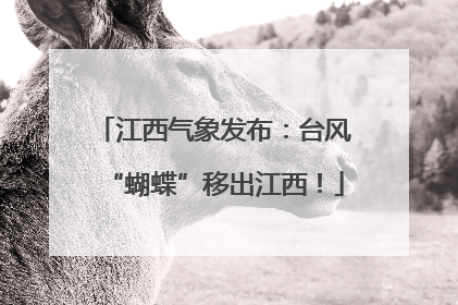江西气象发布：台风“蝴蝶”移出江西！